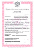 Лицензия МЧС в Татарстане, Казани «под ключ» Лицензия МЧС в Татарстане, Казани «под ключ»