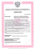 Лицензия МЧС в Татарстане, Казани «под ключ» Лицензия МЧС в Татарстане, Казани «под ключ»